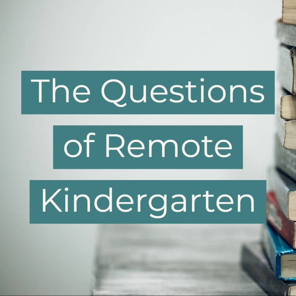 The Questions of Remote Kindergarten