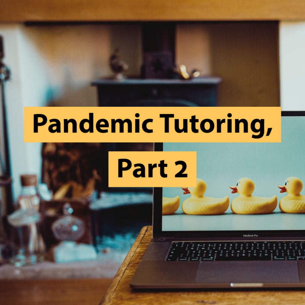 Pandemic Tutoring, Part 2
