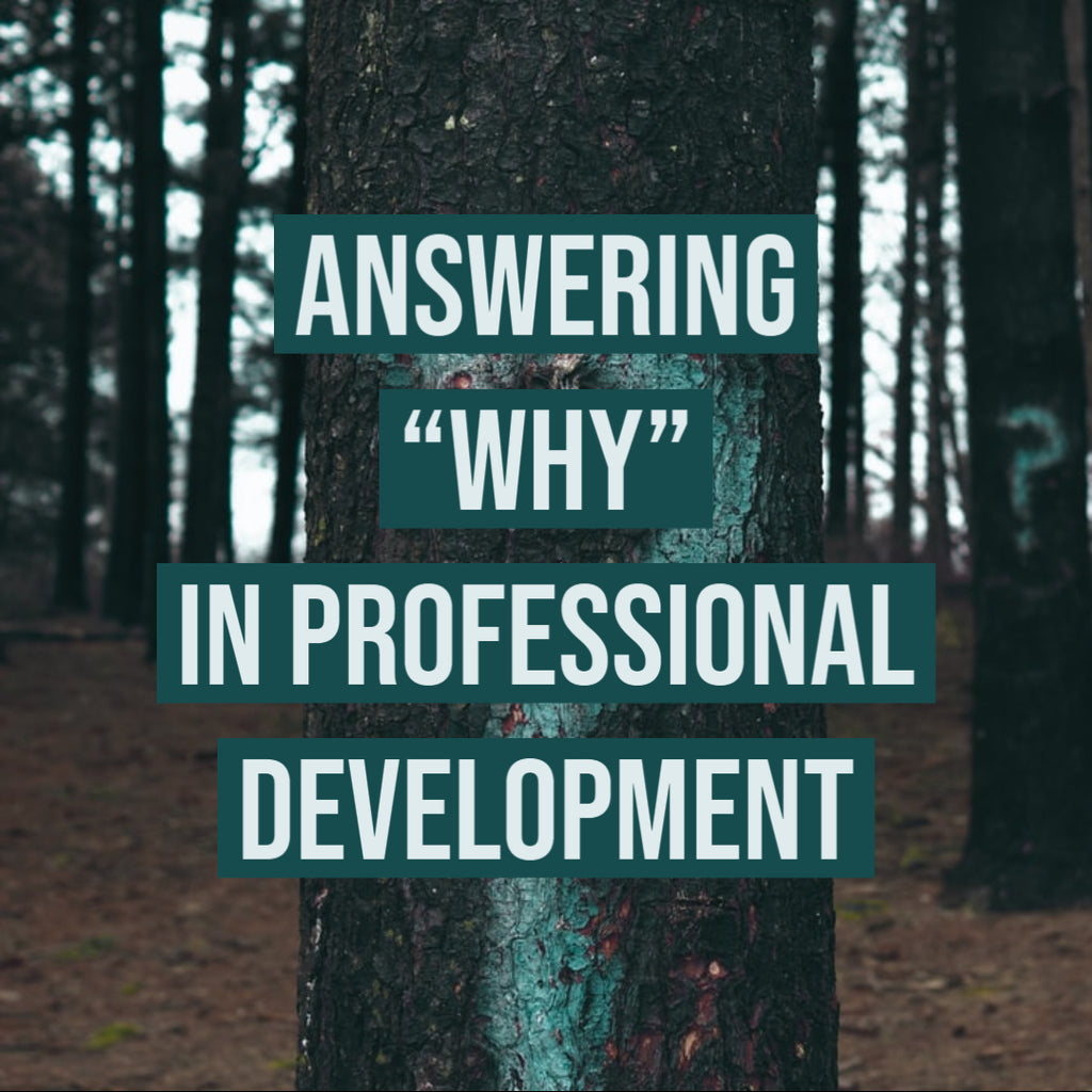 Answering "Why" in Professional Development