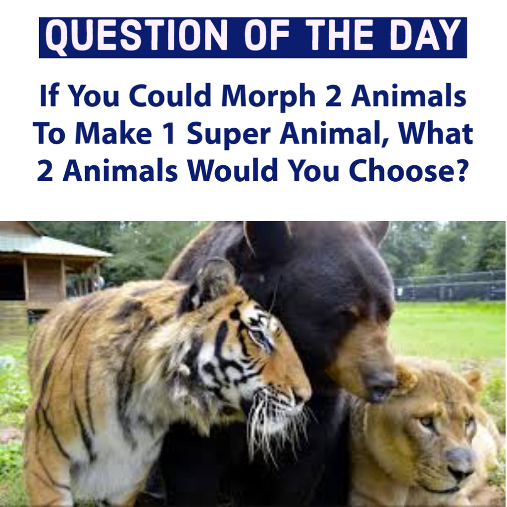 If You Could Morph 2 Animals To Make 1 Super Animal, What 2 Animals Would You Choose?