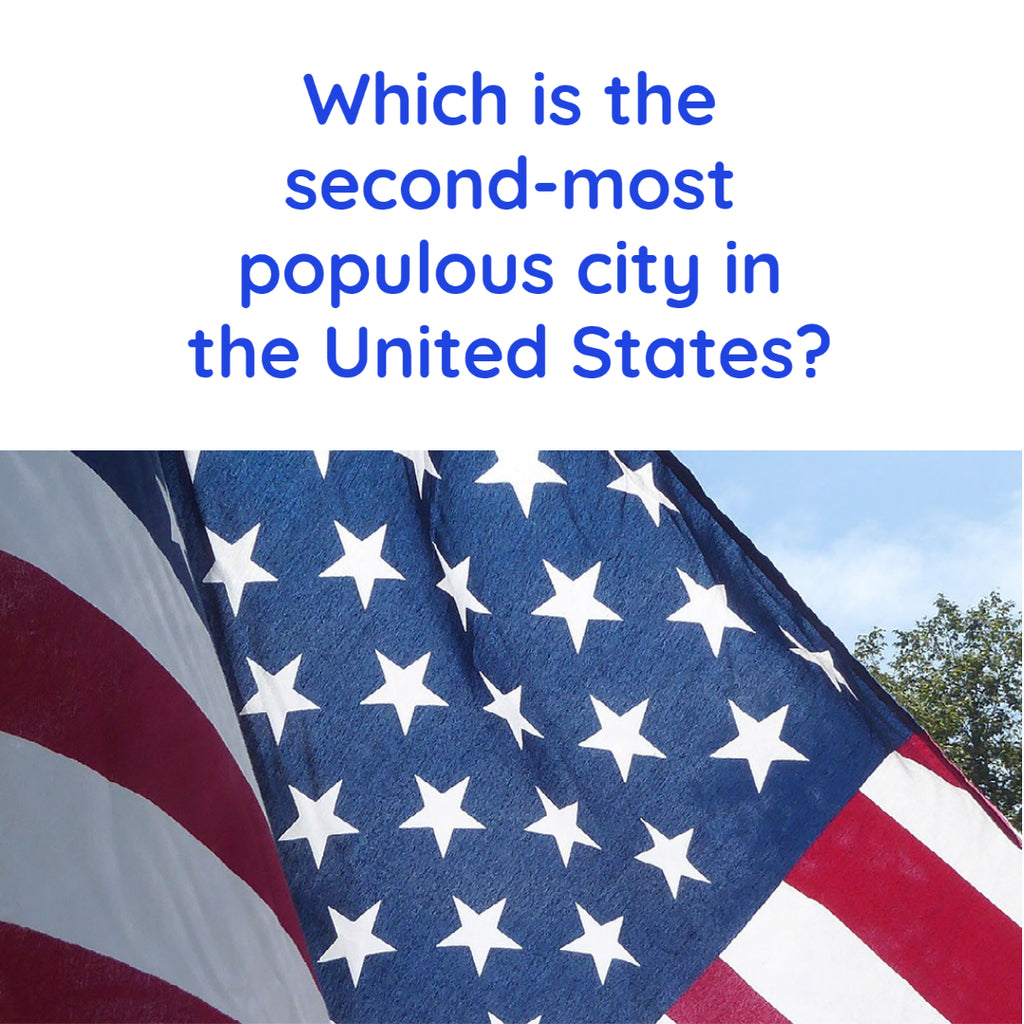 Which is the second most populous city in the United States?