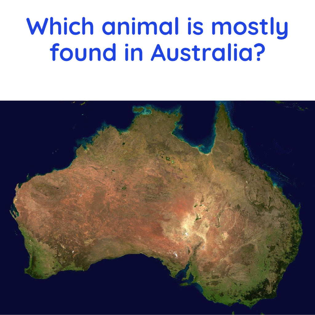 Which animal is mostly found in Australia?
