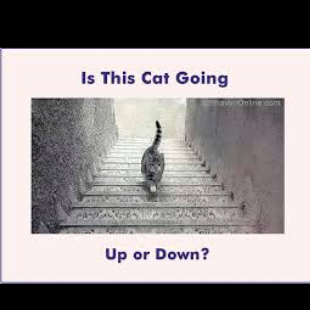 Do you know the answer?