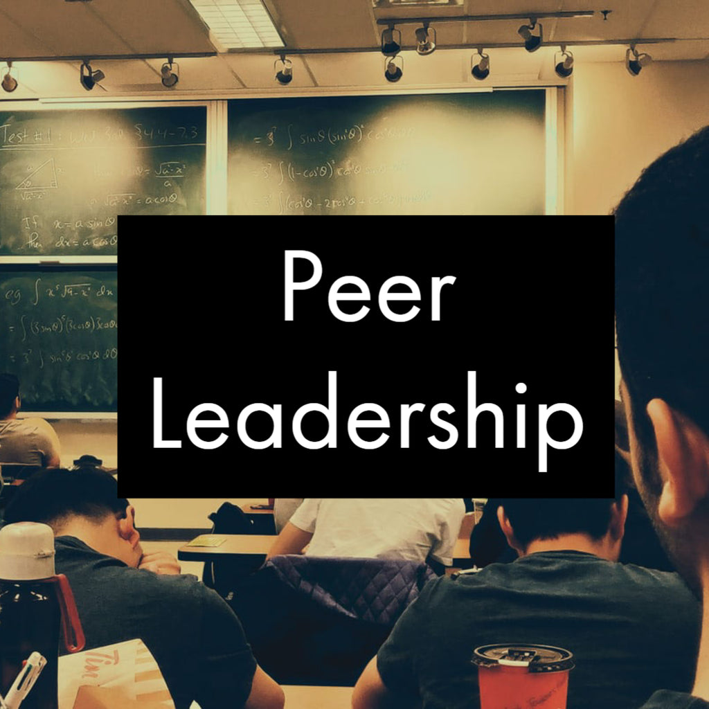 Peer Leadership