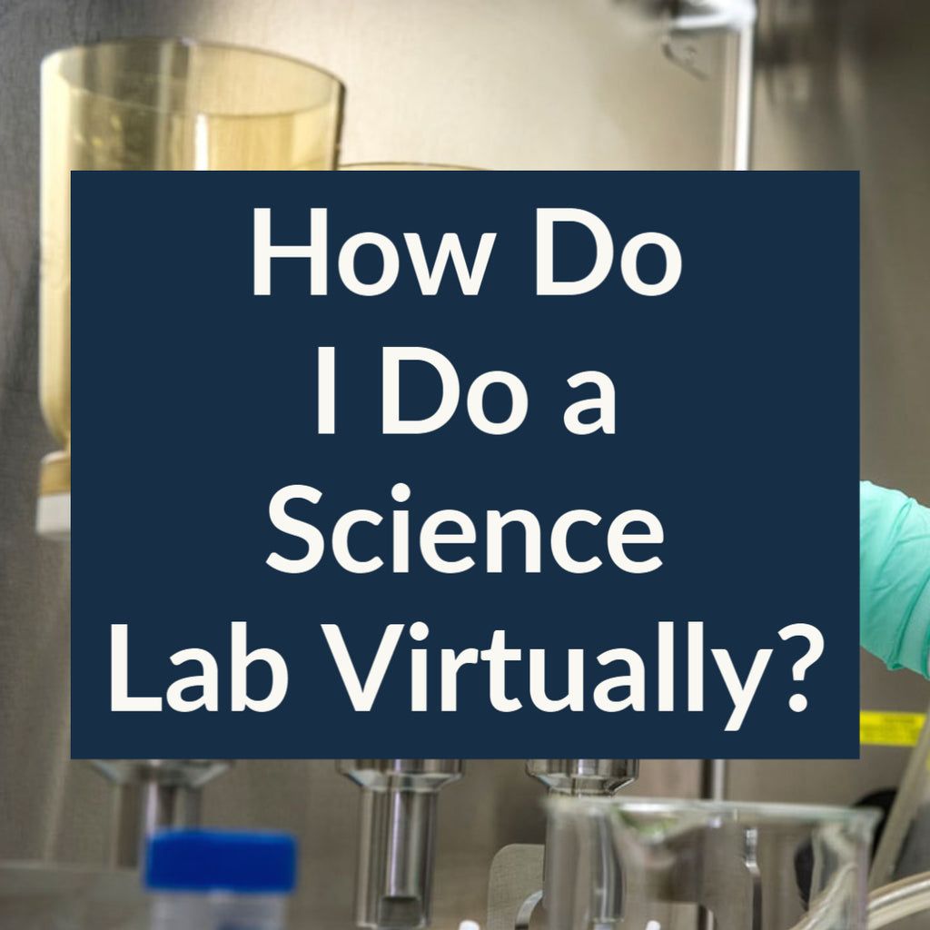 How Do I Do a Science Lab Virtually?