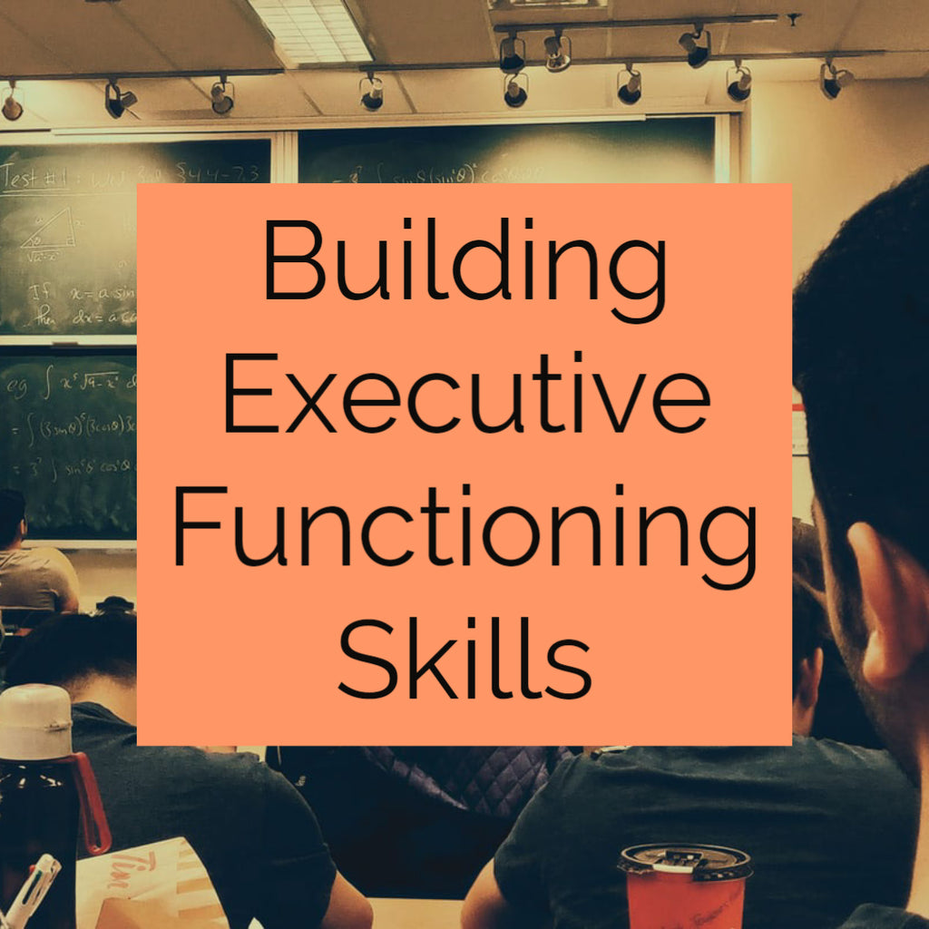 Building Executive Functioning Skills