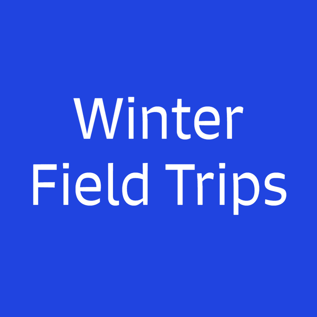 Winter Field Trips