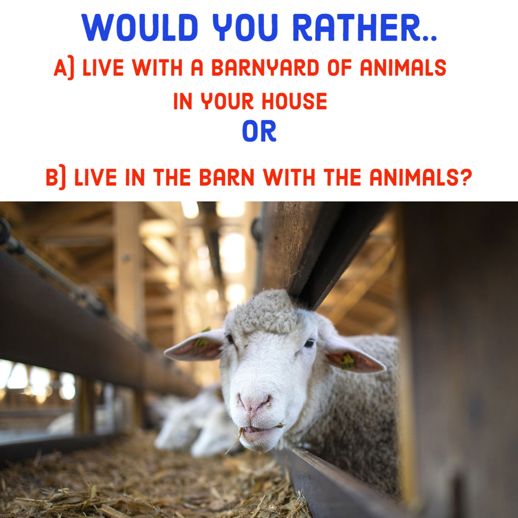 Would You Rather Question #25