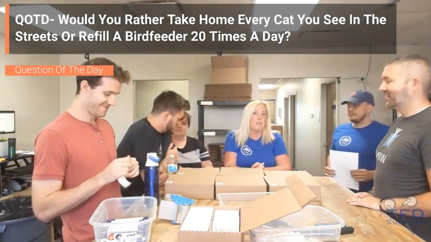 QOTD- Would You Rather Take Home Every Cat You See In The Streets Or Refill A Birdfeeder 20 Times A Day?