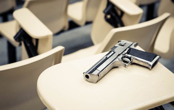 Why We Can't Have Guns in Schools